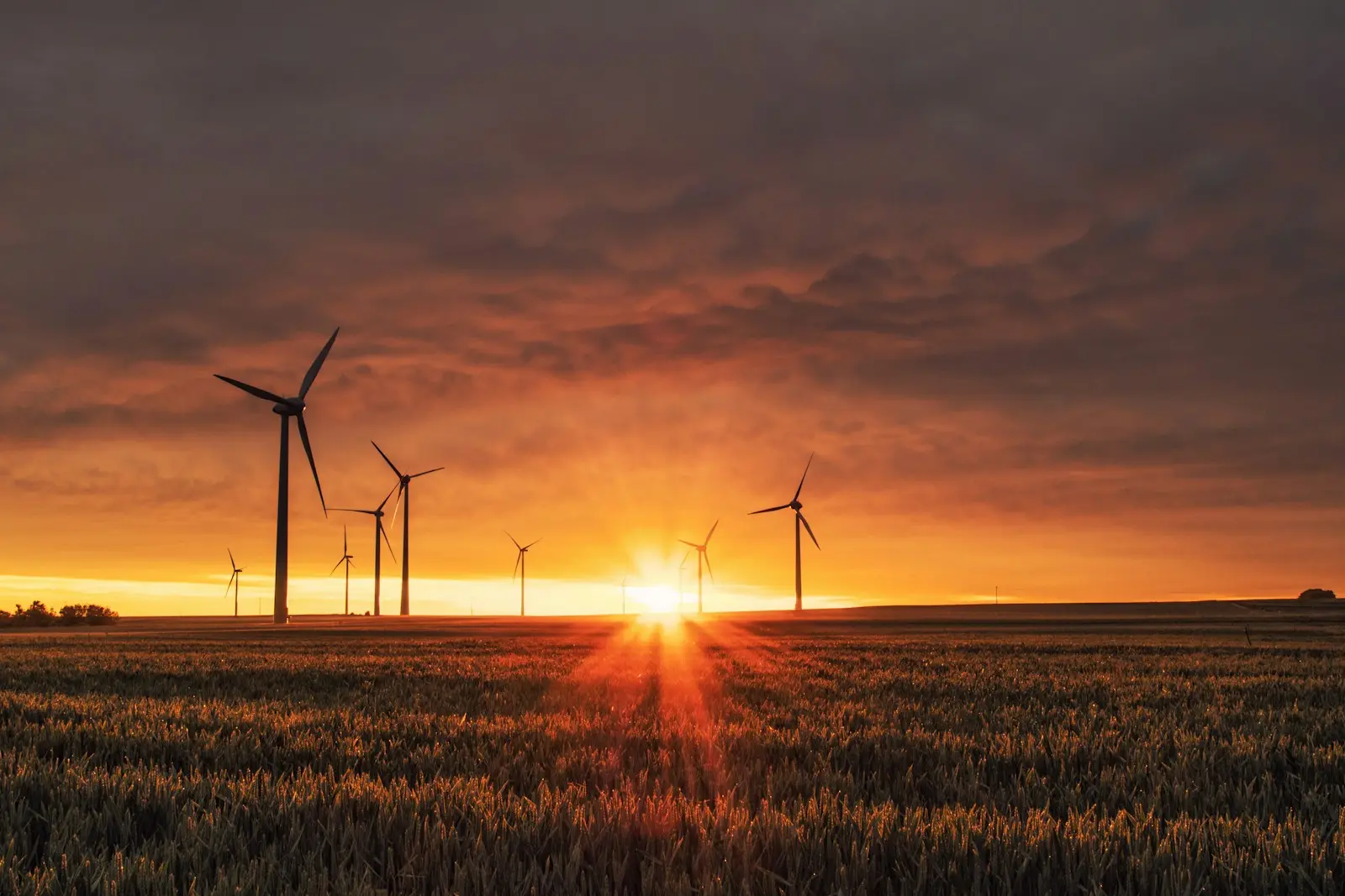 Wind farm generating renewable power